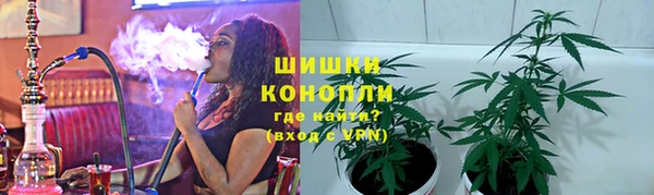 дживик Мегион