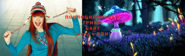 дживик Мегион